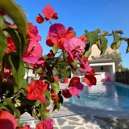 Maxima Sunset Sainte-Maxime