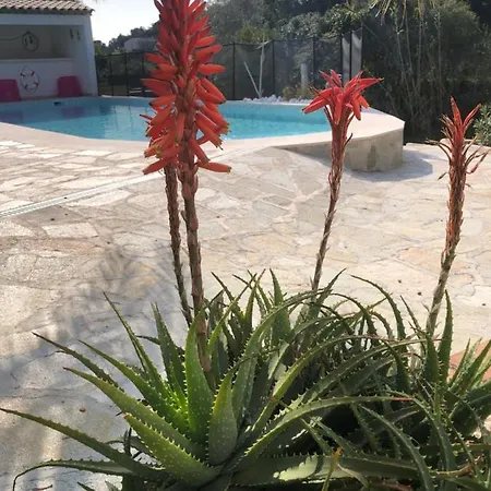 Maxima Sunset Appartement