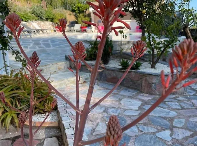 Maxima Sunset Apartman Sainte-Maxime