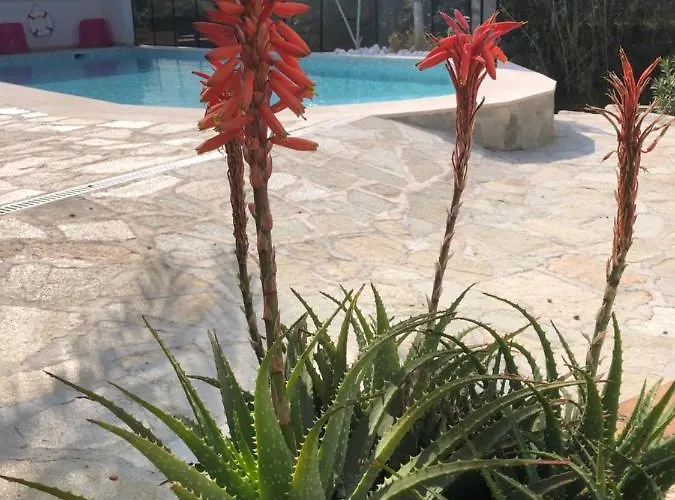 Maxima Sunset Apartman